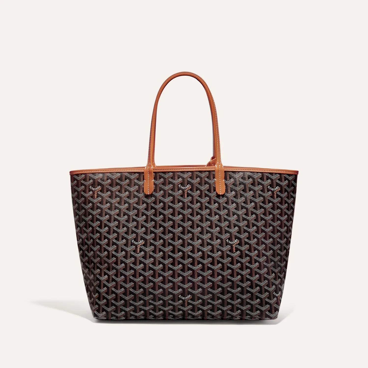 Goyard Saint Louis PM Bag Black & Tan